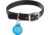 Nite Ize Wearabout Pet Clippable Tracker Holder, Blue - WATP-03T-R6