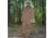 Nite Lite Elite Non-Insulated Coat - Mens, Medium, Brown, NLEC - Medium