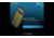 Nitecore NPB2 10,000mAh Waterproof Power Bank, Black, 6952506494019