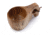 No Box Tools Kuksa Wooden Cup 4oz