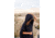 Nomadix Changing Poncho, Black, Medium/Large, CP-BLAC-101
