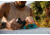 Nomadix Tiny Towel, Jungle, 10inx10in, TT15-JUNG-101