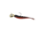 Northland Fishing Tackle Rigged Tungsten Mini Smelt Jig, Gold, 1/16 oz, NL-TMSR10-12