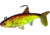 Northland Live-Forage Swimbait 1/4 oz, 2in 1/Cd Gold Shiner, LFS4-12