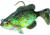 Northland Live-Forage Swimbait 1/8 oz, 2in 1/Cd Crappie, LFS3-28