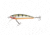 Northland Rumble Shiner Floating-Diving, 2 #6 Treble Hooks, Diving Depth 5-8, Perch, 2-3/4in, 3/16oz, RSN7-PER