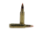 Nosler 22 55gr Ballistic Tip /20 60015
