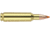 Nosler .22 Nosler, Ballistic Tip , 55 grain, Brass Cased, 20 Rounds, 61030
