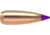 Nosler 24055 Ballistic Tip Varmint 6mm .243 55 GR Spitzer 100 Box