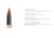 Nosler Ballistic Tip Varmint Rifle Bullet .22 Caliber 50gr, 1000ct, 15190