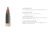 Nosler Ballistic Tip Varmint Rifle Bullet .22 Caliber 50gr, 250ct, 39557