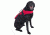NRS CFD Dog Life Jacket, Red, XS 40023.01.104