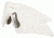 Oakley M Frame Sweep Replacement Lenses, Clear 11-337