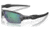 Oakley OO9271 Flak 2.0 A Sunglasses - Men's, Steel Frame, Prizm Jade Lens, Asian Fit, 61, OO9271-927142-61