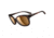 Oakley Pampered Sunglasses, Tortoise Frame, Bronze Lens, Polarized OO9160-07