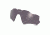 Oakley Radar EV Path Polarized Replacement Lenses, Prizm Daily, ROO9208AY 2279
