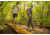 Oboz Bozeman II Hiking Shoes - Mens