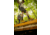 Oboz Bozeman II Hiking Shoes - Mens