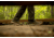 Oboz Bozeman II Hiking Shoes - Mens