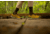 Oboz Bozeman II Hiking Shoes - Mens