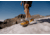 Oboz Katabatic RT Low GTX Hiking Shoes - Mens