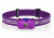 Olight H05 LED Headlamp - CREE XM-L2 LED - 150 Lumens, Purple OLIGHT-H05-PURPLE