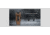 EDEMO Olight Olight PL3 Valkyrie 1300 Lumen Tactical Light - Black, Black, FL-OL-PL3-BK, EDEMO2