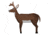 Oncore Targets Standing Deer w/ Antlers Archery Target, Brown/White, Large, D5-ANT