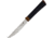 Ontario Knife Agilite Steak Knife, 9in Overall, 4.5in Satin Finish Serrated 14C28N Sandvik Stainless Blade, Amber Ultem Transparent Handle, 2555