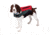 ONYX Neoprene Pet Vest, Red ONX15720010002012