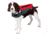 Onyx Outdoor Neoprene Pet Vest - Meduim - Red/Grey 50560