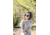 Optic Nerve One Hotplate Demi/black Polarized Sunglasses, 17015