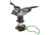 Optimus Crux Stove