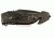 Folding Knife, Black