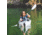 Oru Kayak Inlet Foldable Kayak, White, Large, OKY501-ORA-IN