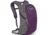 Osprey Daylite Detachable Plum Purple