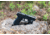 Osprey Global Mini Green Laser Flashlight Combo, Black, Mini Green Laser Combo