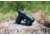Osprey Global Mini Green Laser Flashlight Combo, Black, Mini Green Laser Combo