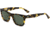 OTIS HAWTON Sunglasses, Dark Tort/Green Polar, 51 - 22 - 142, 126-1901P