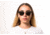 OTIS LITTLE LIES Sunglasses - Womens, Black Tort/Grey Polar, 56-17-140, 20-1805P