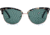 OTIS LITTLE LIES Sunglasses - Womens, Black Tort/Grey Polar, 56-17-140, 20-1805P