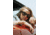 OTIS OSKA Sunglasses, Black Dark Havana/Grey Polar, 54-21-145, 132-2003P-IC