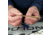 Otis Technology Airgun Maintenance / Cleaning Kit