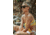 OTIS VIXEN Sunglasses - Womens, Black Dark Tort/Grey Polar, 53-19-145, 131-2002P-IC