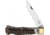 OTTER-Messer 07 Buckhorn Lockback