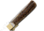 OTTER-Messer Hunting Pocket Knife Stainless