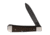 OTTER-Messer Levin Folder Damascus