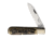 OTTER-Messer Small Hunting Pocket Knife