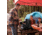 Outbound Portable Propane Gas Camping Stove w/2 Burners, Black, CTI07658131