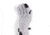 Outdoor Research Flurry Sensor Gloves - Womens, Grey Heather, Large, 2448881050008